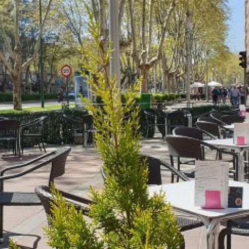 Instalaciones nuestro restaurante en Valladolid