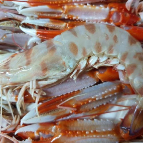 Nuestros mariscos